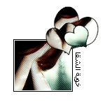 ������ ������� ���� �����