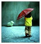 ������ ������� ���� �����