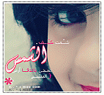 ������ ������� ������ �������