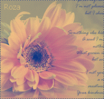 ������ ������� ����� �����