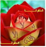 ������ ������� ��������