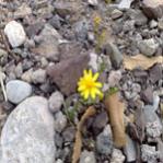 ������ ������� ��� ������