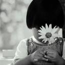 ������ ������� ���� ����