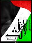 الصورة الرمزية ذيب القبايل