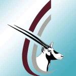 ������ ������� �� �����