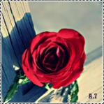 ������ ������� ����� ����