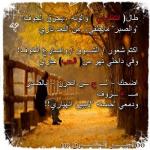 ������ ������� ���� �����