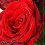 ������ ������� ��� ������