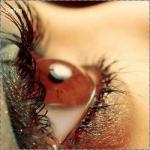 ������ ������� ����� �����