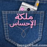 ������ ������� ���� �������