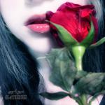 ������ ������� ��� �������