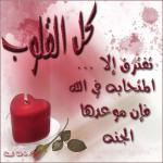 الصورة الرمزية رمش الغلا
