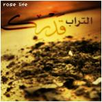 ������ ������� �������