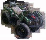 ������ ������� ����� 11 ���