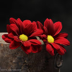 ������ ������� L.a.y.l.a