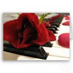 ������ ������� ����� �������