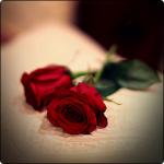 الصورة الرمزية {..آم آحـمد .. ~