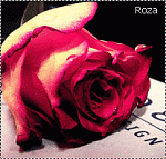 ������ ������� ��_����