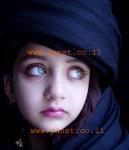 ������ ������� ����