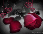 الصورة الرمزية صمتي ألمي