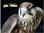 الصورة الرمزية نقطة حبر