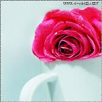 ������ ������� emo