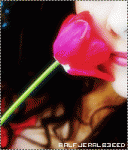 ������ ������� ����� �������