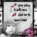 ������ ������� ���� �����