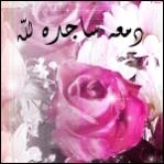 ������ ������� ���� ����� ���