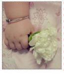 ������ ������� ���