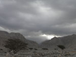 الصورة الرمزية سفير برتبة وزير