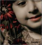 ������ ������� ������