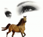 ������ ������� ���� ������