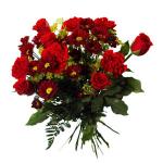 ������ ������� ���� ������