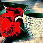 ������ ������� ������ ����