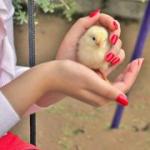 ������ ������� ��������������