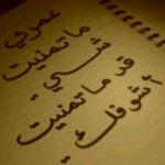 ������ ������� ���� �����