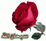 الصورة الرمزية omkhalid
