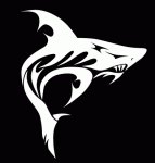 ������ ������� ���� �������