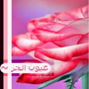 ������ ������� ][ ���� ���� ][