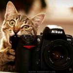 ������ ������� GMC