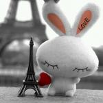 ������ ������� ���� ���� ����