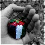 ������ ������� ��� �������