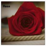 ������ ������� ����