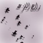 ������ ������� ��� ������