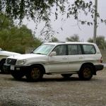 ������ ������� ۞�������۞