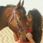 ������ ������� MISS UAE9