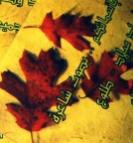 ������ ������� ��� ������ ���������