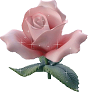 الصورة الرمزية غروب 77