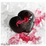 ������ ������� ������